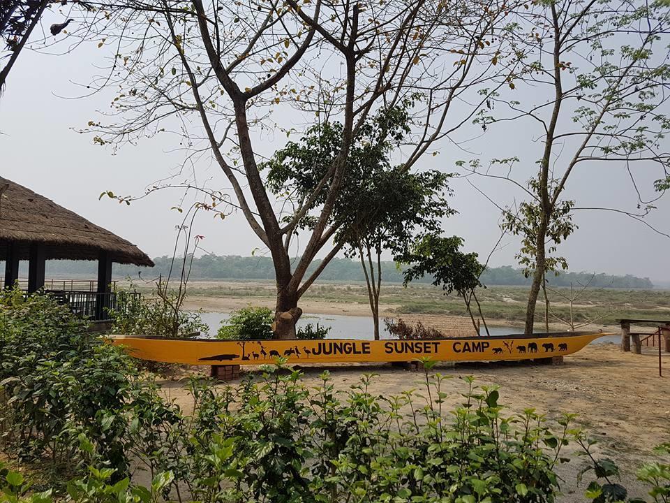 Hotel Jungle Sunset Camp Sauraha Esterno foto