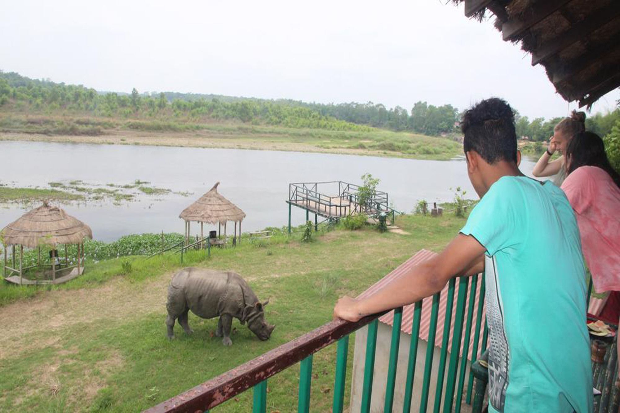 Hotel Jungle Sunset Camp Sauraha Esterno foto