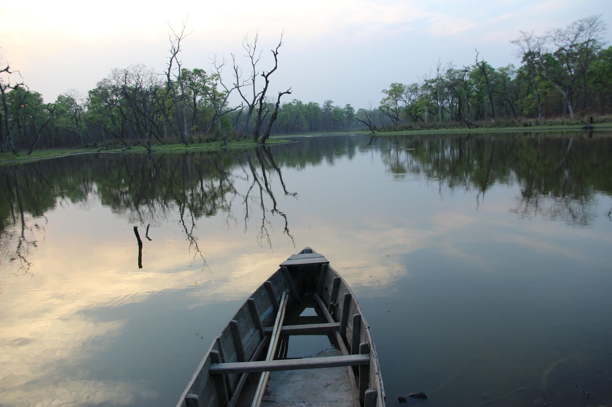 Hotel Jungle Sunset Camp Sauraha Esterno foto