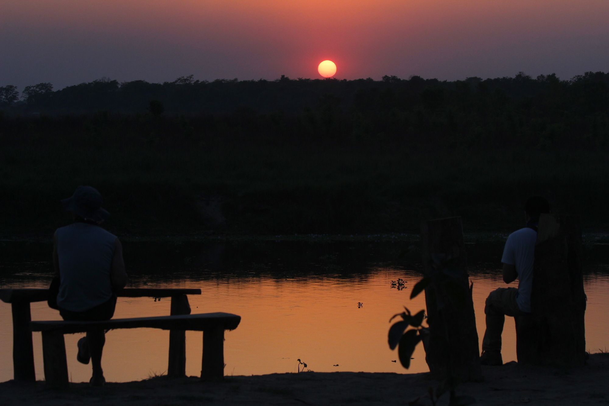 Hotel Jungle Sunset Camp Sauraha Esterno foto