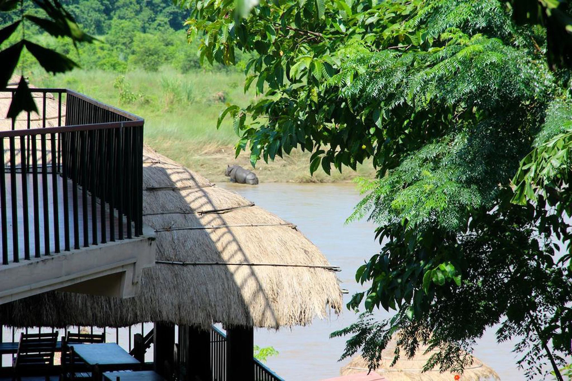 Hotel Jungle Sunset Camp Sauraha Esterno foto
