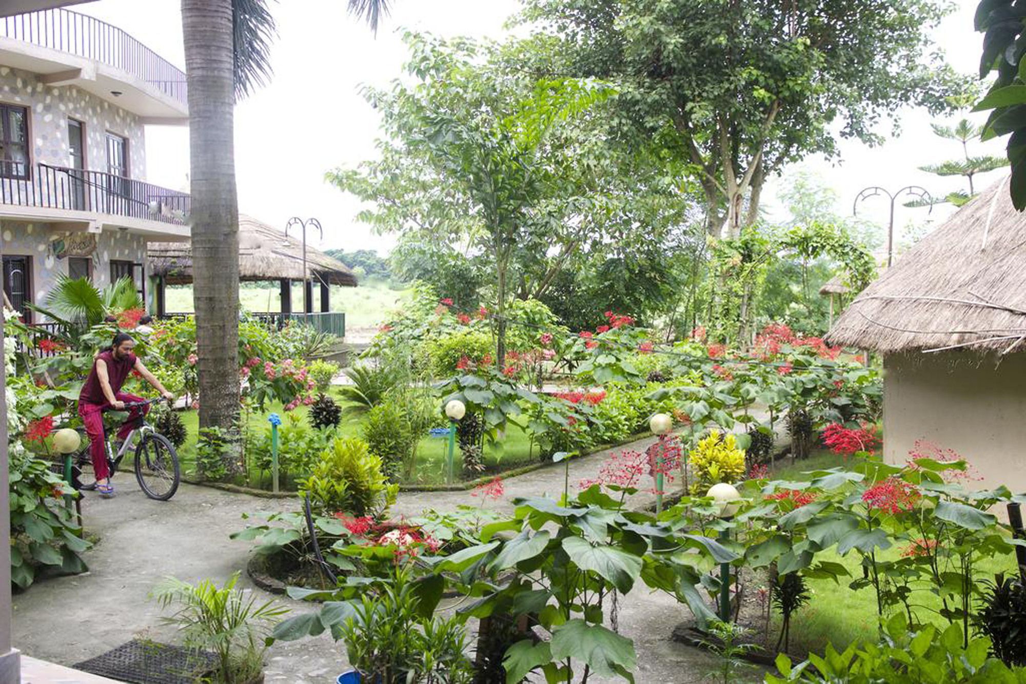 Hotel Jungle Sunset Camp Sauraha Esterno foto