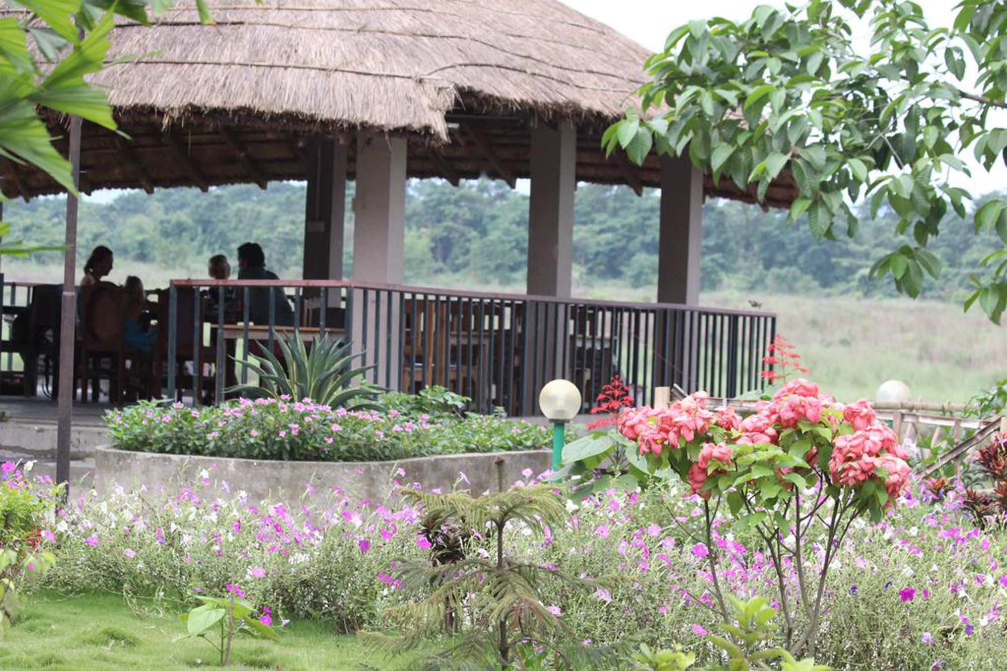 Hotel Jungle Sunset Camp Sauraha Esterno foto